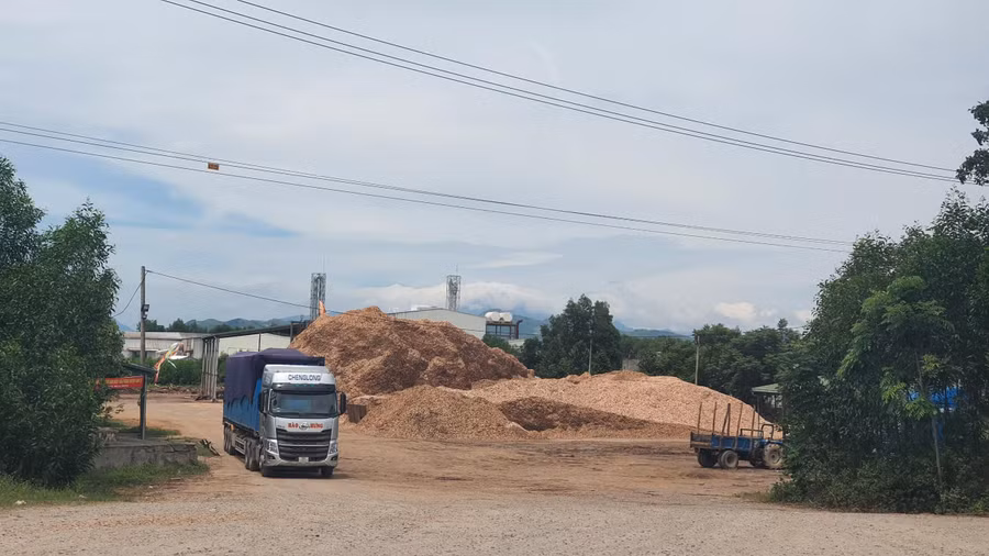 Tại huyện Cam Lộ có 2 nhà máy chế biến gỗ hoạt động không có giấy phép.