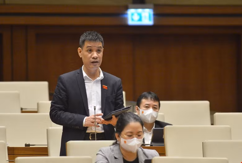 Đại biểu Đinh Ngọc Quý (đoàn Gia Lai)