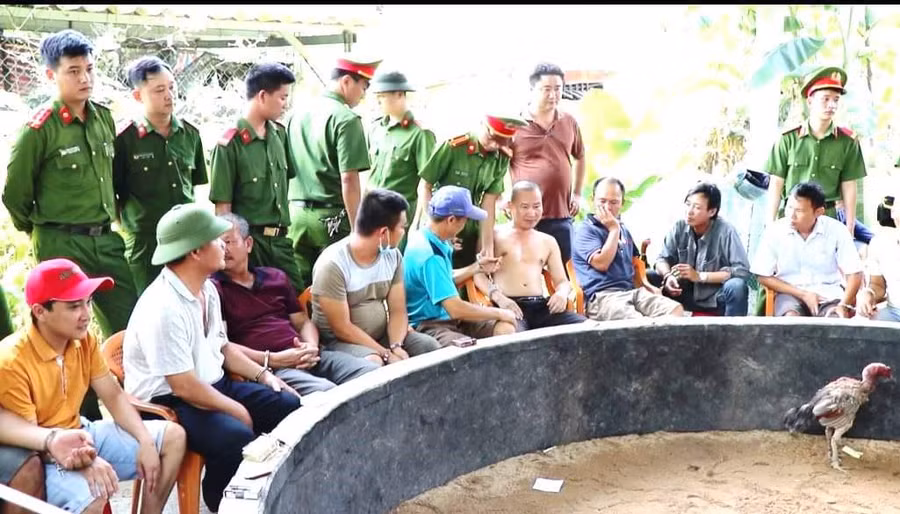 Hiện trường sới bạc dưới hình thức đá gà bị lực lượng chức năng bắt quả tang.