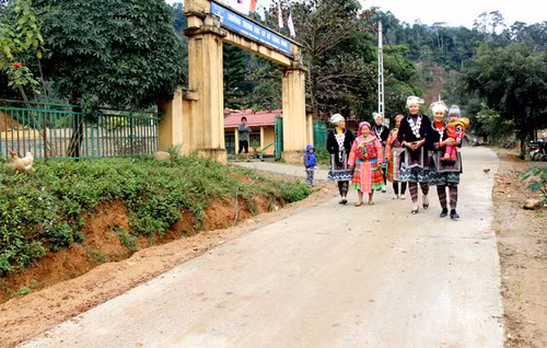 Ảnh minh họa/internet