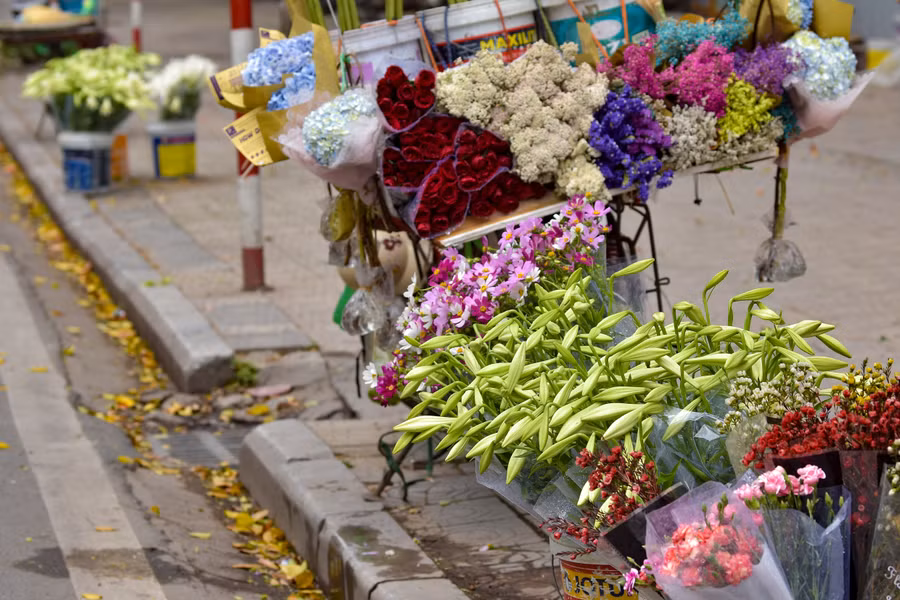 Màu trắng tượng trưng cho sự dịu dàng, trầm ấm của người phụ nữ. Chính vì vậy hoa loa kèn thường được tặng cho phái nữ như một lời chúc, lời cảm ơn chân thành tới những người phụ nữ thân thương của mình.
