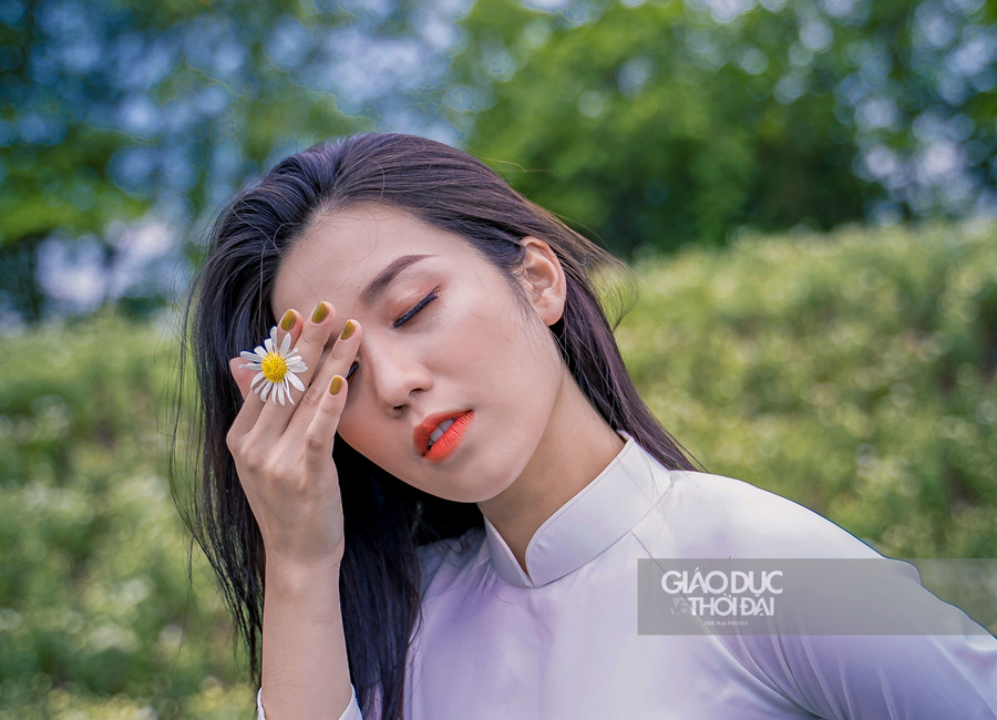 Với vẻ đẹp tinh khôi, cúc họa mi dường như đã trở thành một điểm nhấn của mùa thu Hà Nội trong lòng giới trẻ. Với vẻ đẹp tinh khôi, cúc họa mi dường như đã trở thành một điểm nhấn của mùa thu Hà Nội trong lòng giới trẻ.