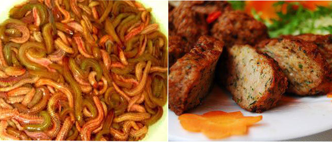 Chả rươi thơm ngon nhưng có những nguy hiểm bạn cần biết để tránh.