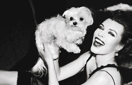 Mỹ nhân Milla Jovovich 41 tuổi vẫn siêu nóng bỏng - Ảnh 4 My nhan Milla Jovovich 41 tuoi van sieu nong bong - Anh 4
