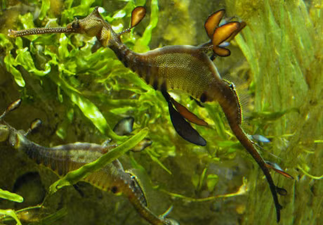 Ve ngoai la lam cua loai ca bi dua vao sach do - Anh 12