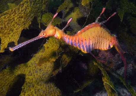 Ve ngoai la lam cua loai ca bi dua vao sach do - Anh 7