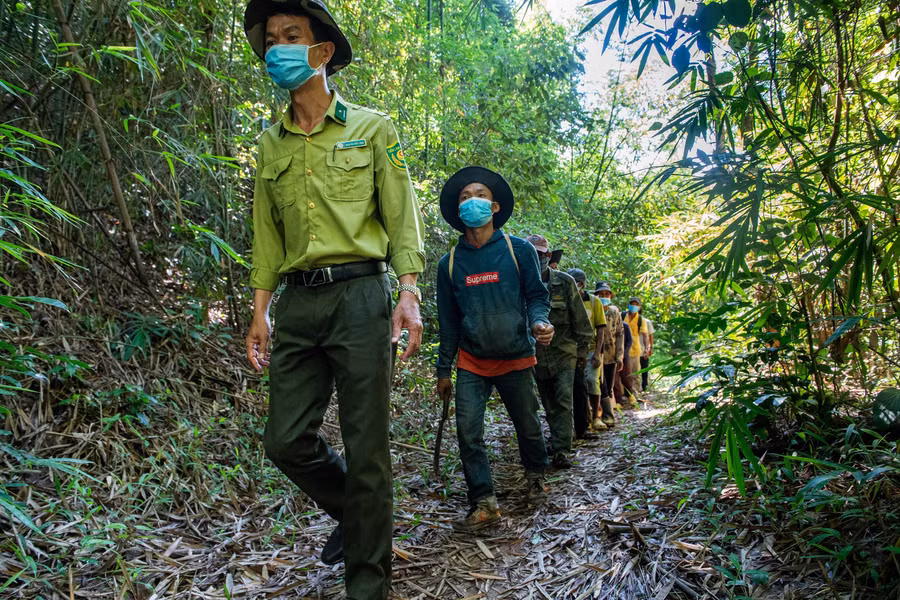 Công việc bảo vệ rừng nặng nhọc, nguy hiểm... nên nhiều cán bộ, nhân viên xin nghỉ.