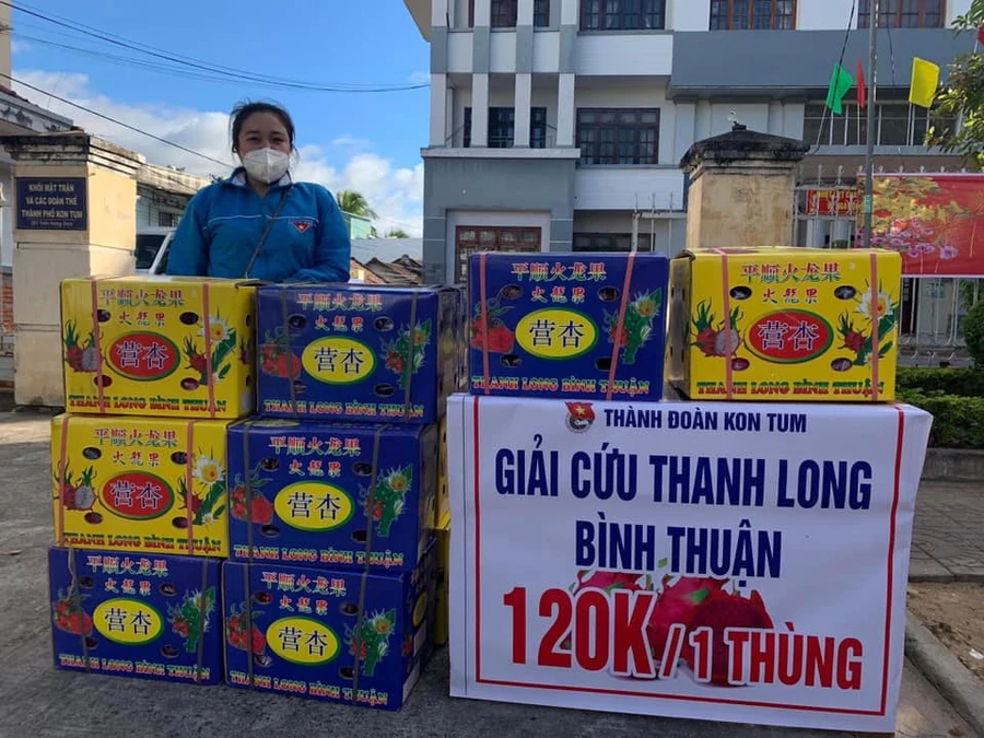 Chỉ trong 2 ngày hơn 1.000 thùng thanh long đã được giải cứu.