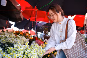 Người dân Thủ đô rút ‘hầu bao’ mua cúc họa mi đầu mùa dù giá cao