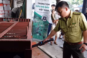 Đưa hai con gấu đầu tiên về Trung tâm Cứu hộ tại Bạch Mã