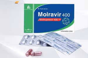 Thuốc Molravir 400mg (hoạt chất Molnupiravir) của Công ty CP dược phẩm Boston Việt Nam sản xuất là một trong ba thuốc vừa được Bộ Y tế cấp phép. Ảnh: Internet.