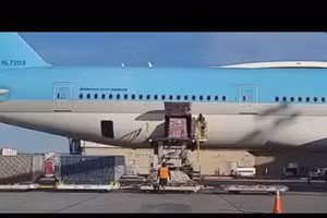 Khoảnh khắc người Việt Nam duy nhất đón thi hài Chí Tài tại sân bay Mỹ