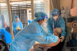 Ảnh: HCDC TP Hồ Chí Minh.