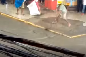 Thót tim 2 người đàn ông tay không bắt trăn trên phố