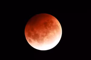 Ảnh: Phil Walter/Getty Images.