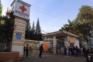 Ảnh minh họa: PLO.