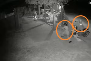 Video: Trộm chó manh động, quyết chiến với chủ nhà 