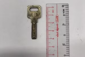 Dị vật là chiếc chìa khóa được gắp ra thành công. Ảnh: BV.