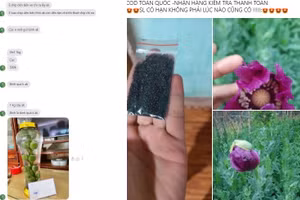 Ảnh chụp màn hình facebook.