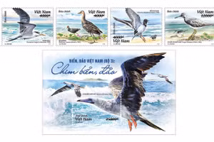 Bộ tem "Biển, đảo Việt Nam (bộ 3): Chim biển, đảo". Ảnh: ictvietnam.vn.