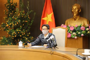 Phó Thủ tướng Vũ Đức Đam. (Ảnh: TTXVN).