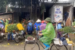 Hình ảnh ấn tượng 29 Tết: ATM rau 1.000 đồng, gian hàng dưa không người bán 