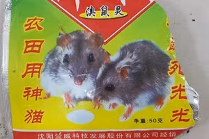 Nam bệnh nhân 34 tuổi ngộ độc chất diệt chuột: Cảnh báo xuất hiện các loại thuốc diệt chuột cực độc