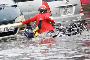 Ảnh minh họa: An Nhơn.
