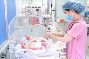 Hai bé song thai được chăm sóc trong lồng kính. Ảnh: BVCC.