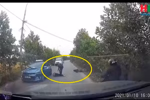 Video: Hai thanh niên đầu trần, phóng xe lạng lách đâm vào con bê chạy ra đường