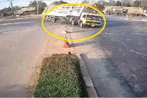 Video: Xe chở mía lật nhào giữa đường khi đi qua khúc cua ở Thái Lan