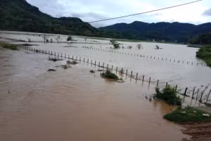 Nguồn: Vụ TTCĐ.