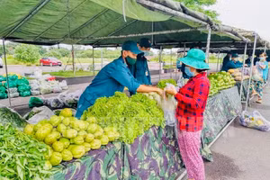 Các chiến sĩ lực lượng vũ trang Quận 12 đang hướng dẫn người dân nhận rau củ. Ảnh: Trang tin điện tử Đảng bộ TP.HCM.