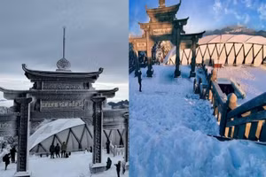 Ngày 29 Tết, tuyết vẫn phủ trắng đỉnh Fansipan đẹp mê hồn