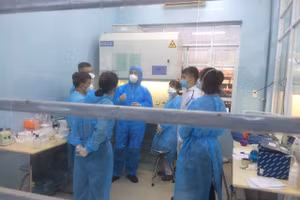 Ảnh minh hoạ: CDC Phú Yên.