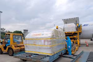 Đại diện Bộ Y tế đã có mặt tại Sân bay Quốc tế Nội Bài để tiếp nhận lô vaccine phòng Covid-19 Comirnaty của Pfizer/BioNtech. Ảnh: BYT.