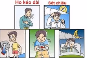 Ảnh: HCDC Thành phố Hồ Chí Minh.