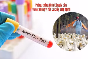 Để chủ động phòng chống dịch, bệnh cúm lây từ gia cầm sang người, chúng ta hãy thực hiện nghiêm theo khuyến cáo của Bộ Y tế. Ảnh: CDC Phú Thọ.