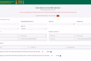 Công dân khai báo y tế tại trang wed https://suckhoe.dancuquocgia.gov.vn. Ảnh chụp màn hình.