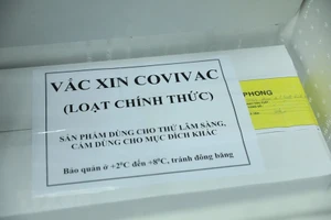 Vắc xin COVIVAC được bảo quản tại kho của Viện vệ sinh dịch tễ Trung ương. (Ảnh: Minh Quyết/TTXVN).