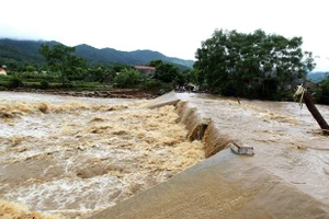 Ảnh minh họa.