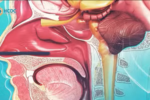 Video: Hướng dẫn thực hiện test nhanh Covid-19 tại nhà