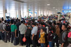 Vé máy bay Tết 2021: Hàng không cảnh báo nạn vé giả, vé "ảo" trên mạng