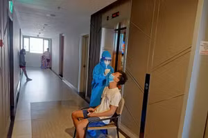 Ảnh: Trung tâm Kiểm soát Bệnh tật TP Hồ Chí Minh.