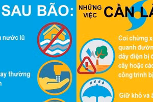 Bộ Y tế hướng dẫn phòng bệnh, an toàn thực phẩm nơi có bão lũ