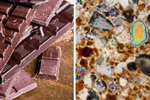 Thực phẩm sẽ có cấu trúc thế nào khi được soi dưới kính hiển vi?