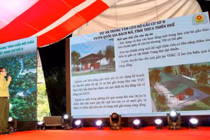 Sắp thành lập Trung tâm cứu hộ Gấu lớn nhất Việt Nam