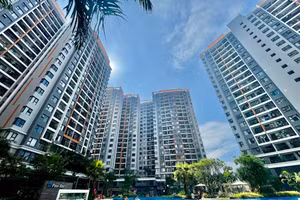 Dòng sản phẩm hạng C chiếm tỷ lệ bán ra lớn nhất với 67% và Hạng B theo sau với 27% thị phần.