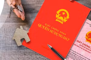 Các bước xin cấp sổ đỏ trực tuyến