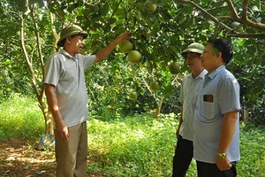 Trang trại của cựu chiến binh Nguyễn Ngọc Minh, thôn Làng Già, xã Yên Thắng, huyện Lục Yên, tỉnh Yên Bái